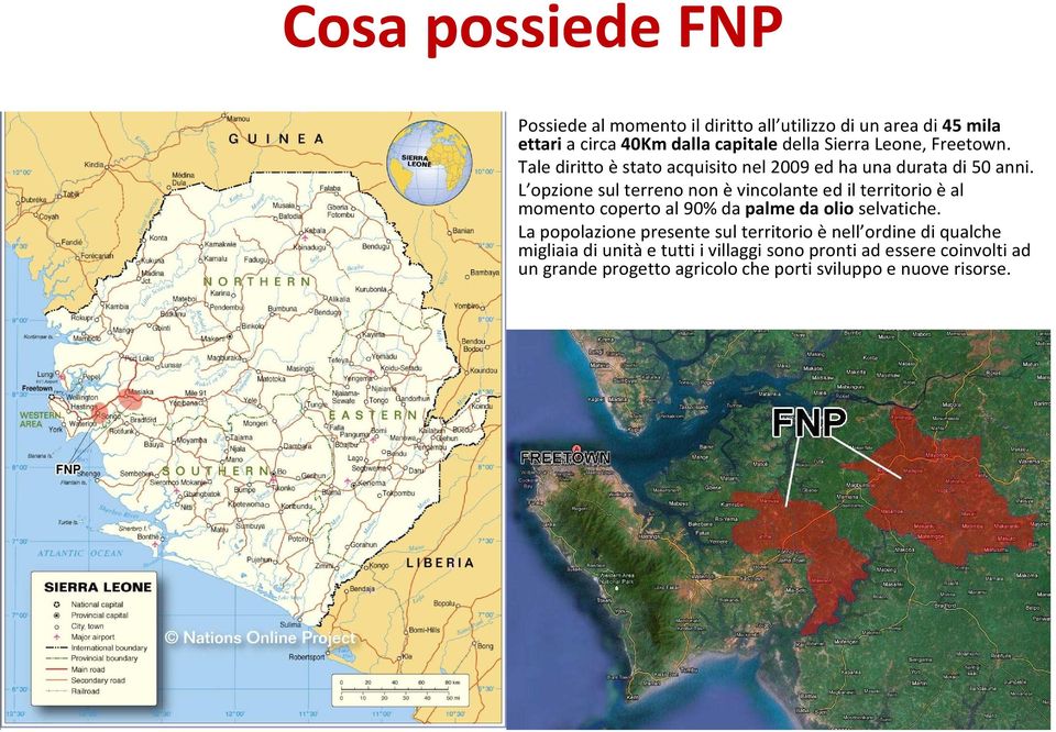 L opzione sul terreno non èvincolante ed il territorio èal momento coperto al 90% da palme da olio selvatiche.