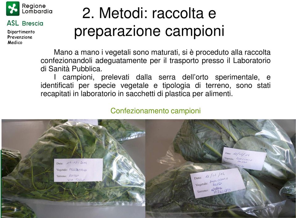 I campioni, prelevati dalla serra dell orto sperimentale, e identificati per specie vegetale e tipologia