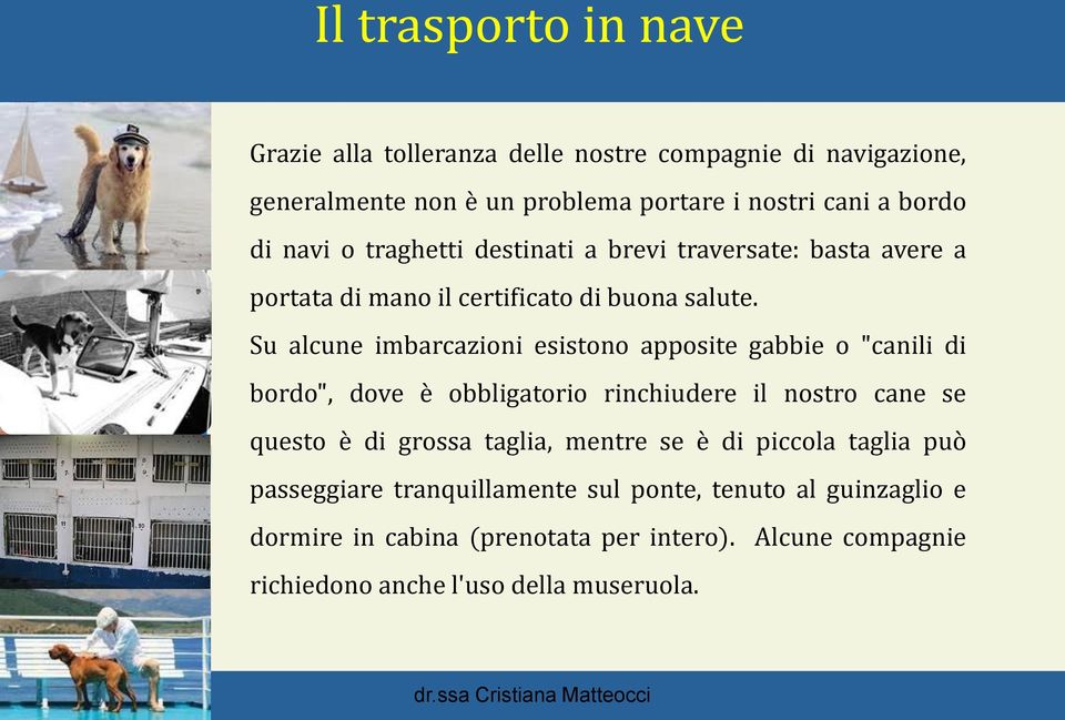 Su alcune imbarcazioni esistono apposite gabbie o "canili di bordo", dove è obbligatorio rinchiudere il nostro cane se questo è di grossa taglia,