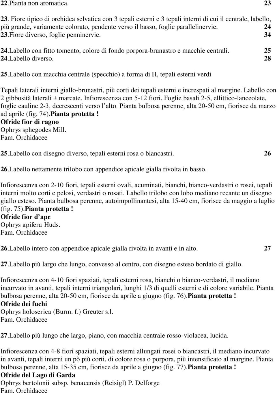 Fiore diverso, foglie penninervie. 34 24.Labello con fitto tomento, colore di fondo porpora-brunastro e macchie centrali. 25 24.Labello diverso. 28 25.