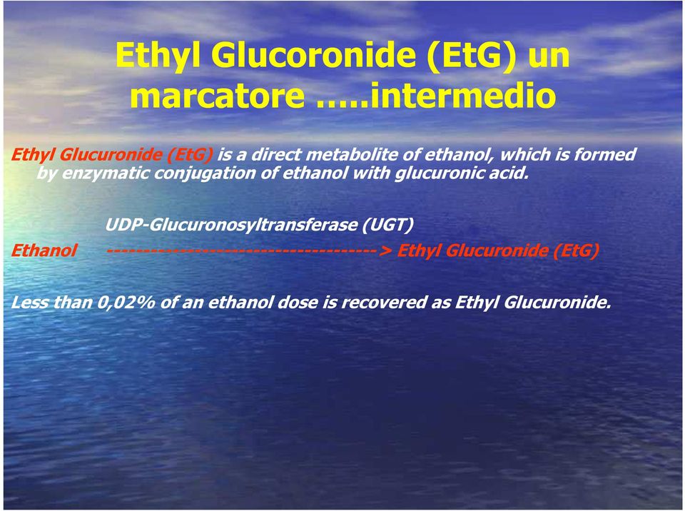 by enzymatic conjugation of ethanol with glucuronic acid.