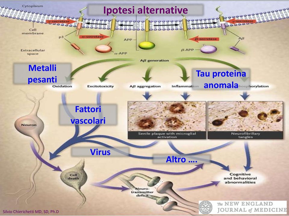 proteina anomala