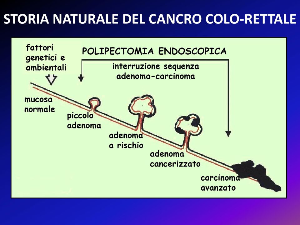 interruzione sequenza adenoma-carcinoma mucosa normale