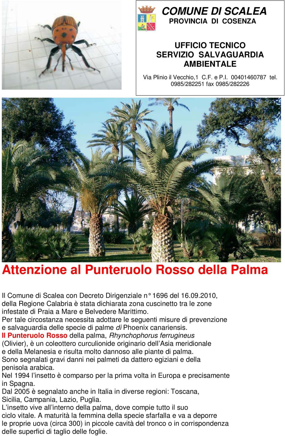 Per tale circostanza necessita adottare le seguenti misure di prevenzione e salvaguardia delle specie di palme di Phoenix canariensis.