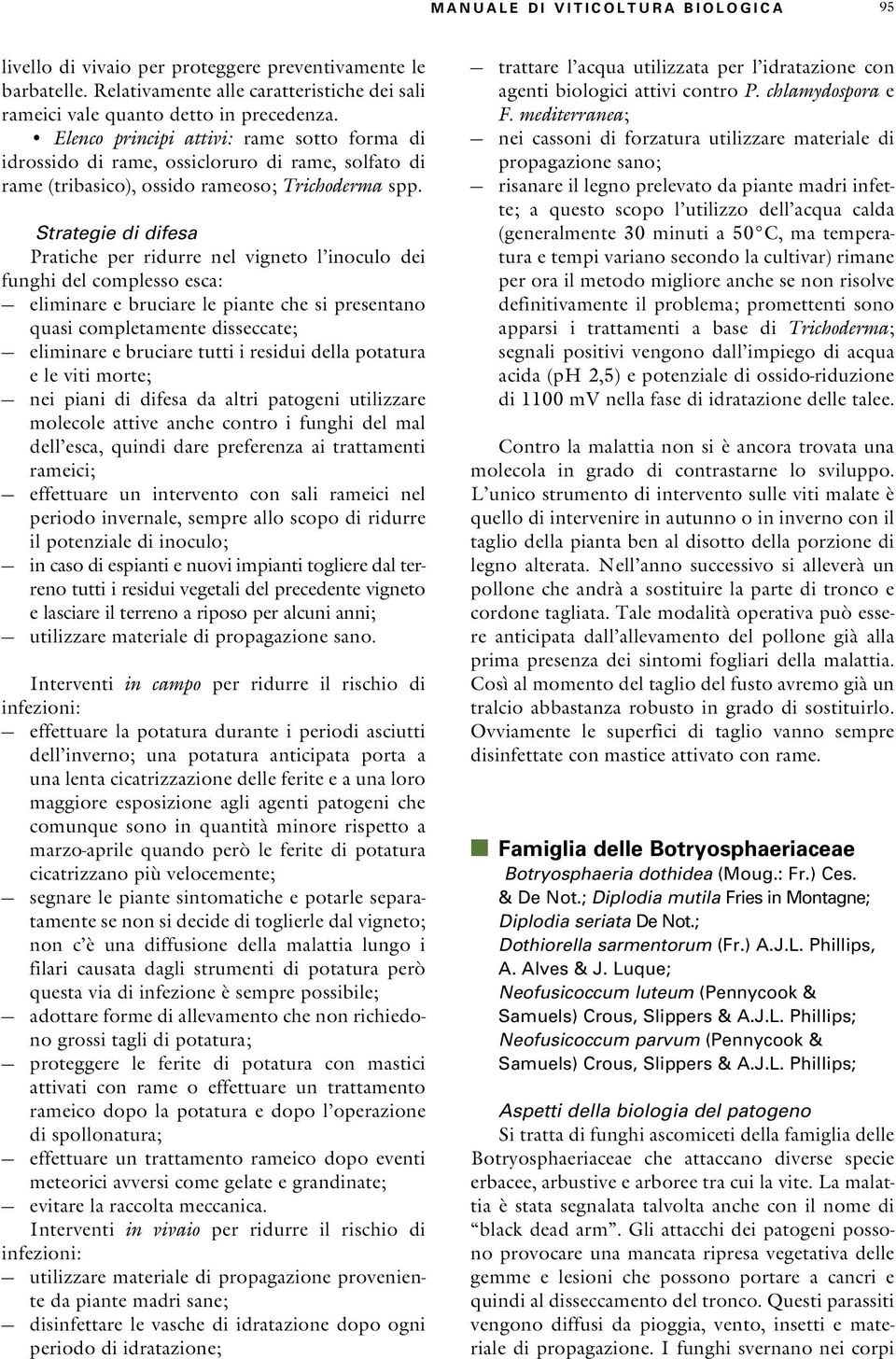 Pratiche per ridurre nel vigneto l inoculo dei funghi del complesso esca: eliminare e bruciare le piante che si presentano quasi completamente disseccate; eliminare e bruciare tutti i residui della