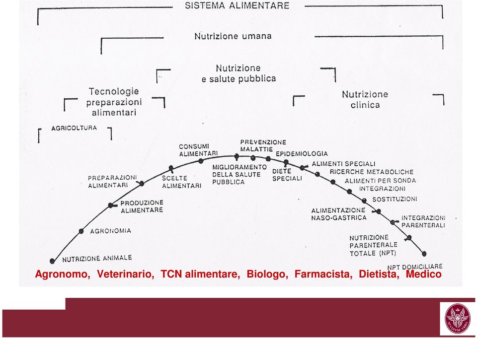 alimentare,