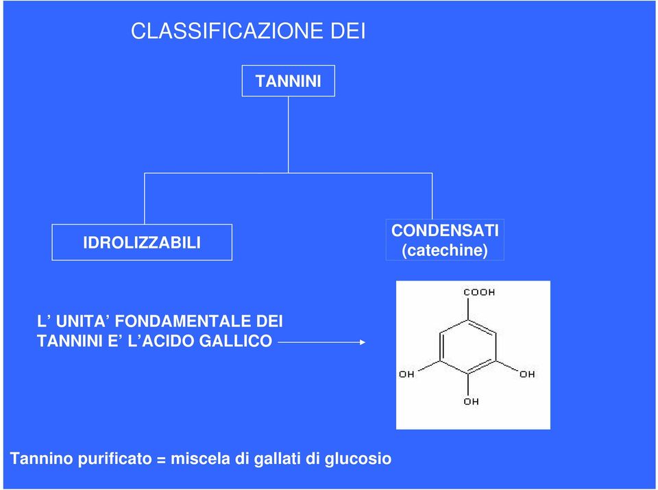 FONDAMENTALE DEI TANNINI E L ACIDO