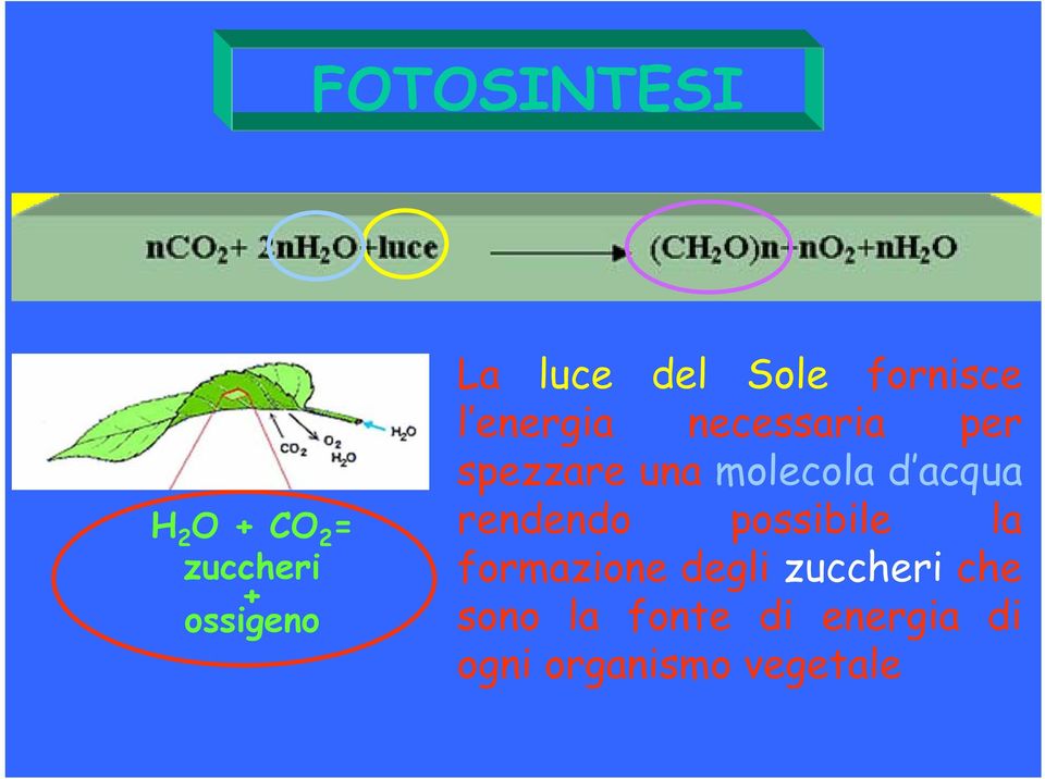 molecola d acqua rendendo possibile la formazione degli