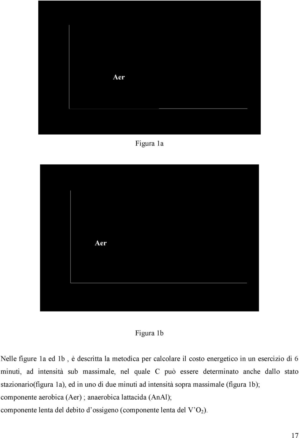 stazionario(figura 1a), ed in uno di due minuti ad intensità sopra massimale (figura 1b); componente