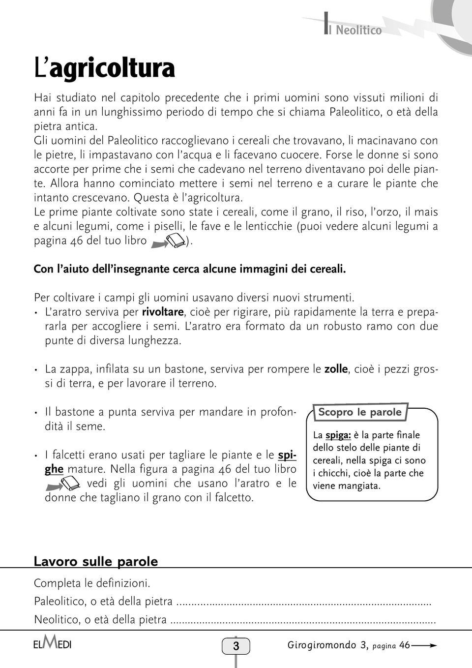 Forse le donne si sono accorte per prime che i semi che cadevano nel terreno diventavano poi delle piante.