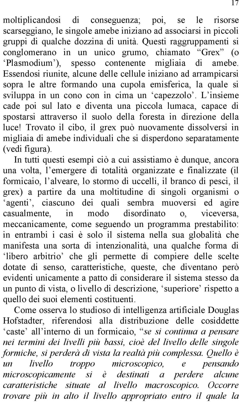 Essendosi riunite, alcune delle cellule iniziano ad arrampicarsi sopra le altre formando una cupola emisferica, la quale si sviluppa in un cono con in cima un capezzolo.