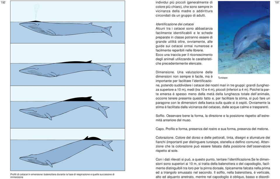 ormai numerose e facilmente reperibili nelle librerie. Ecco una traccia per il riconoscimento degli animali utilizzando le caratteristiche precedentemente elencate. 141 Dimensione.