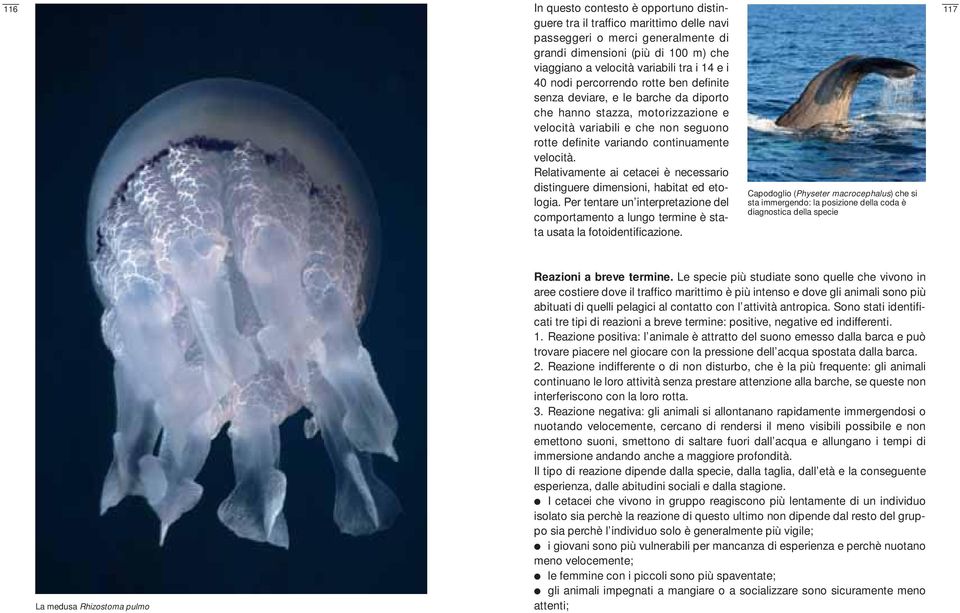 Relativamente ai cetacei è necessario distinguere dimensioni, habitat ed etologia. Per tentare un interpretazione del comportamento a lungo termine è stata usata la fotoidentificazione.