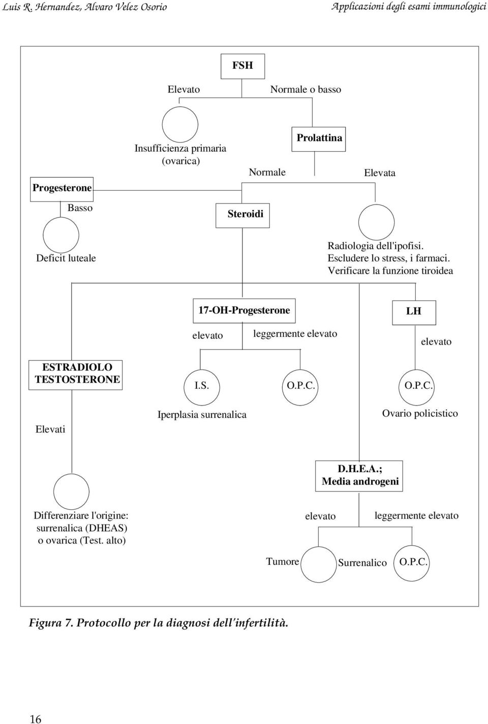 Verificare la funzione tiroidea 17-OH-Progesterone LH elevato leggermente elevato elevato ESTRADIOLO TESTOSTERONE I.S. O.P.C.