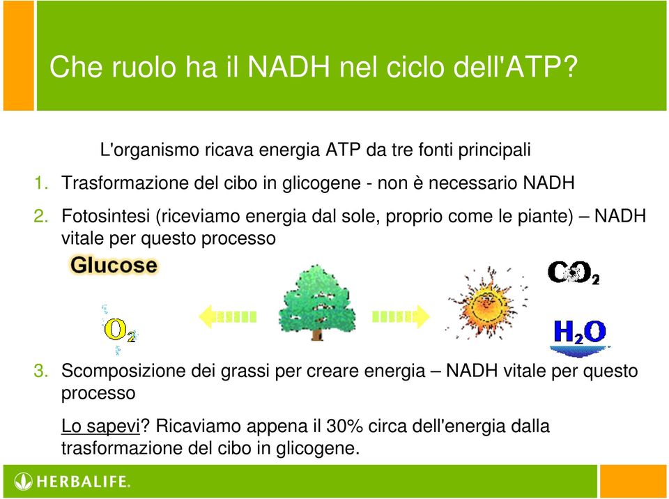 Fotosintesi (riceviamo energia dal sole, proprio come le piante) NADH vitale per questo processo 3.