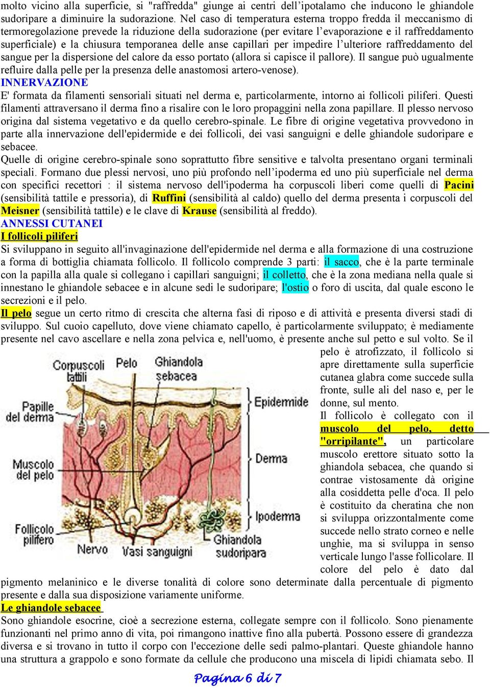 temporanea delle anse capillari per impedire l ulteriore raffreddamento del sangue per la dispersione del calore da esso portato (allora si capisce il pallore).