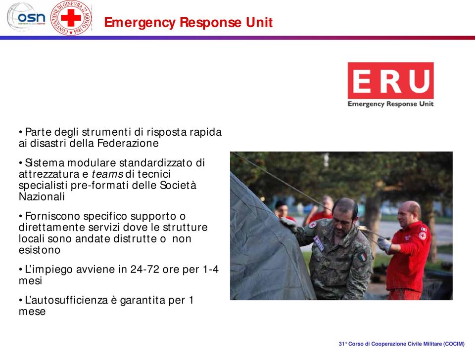 Nazionali Forniscono specifico supporto o direttamente servizi dove le strutture locali sono andate