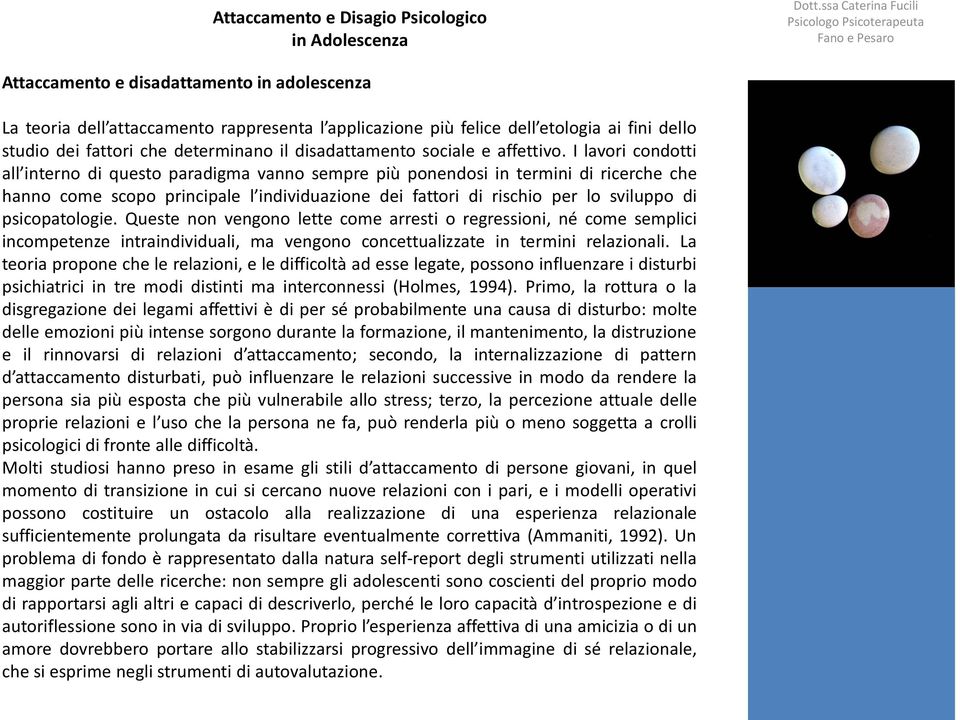 I lavori condotti all interno di questo paradigma vanno sempre più ponendosi in termini di ricerche che hanno come scopo principale l individuazione dei fattori di rischio per lo sviluppo di