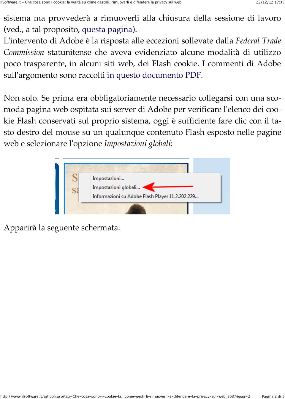 Flash cookie. I commenti di Adobe sull'argomento sono raccolti in questo documento PDF. Non solo.