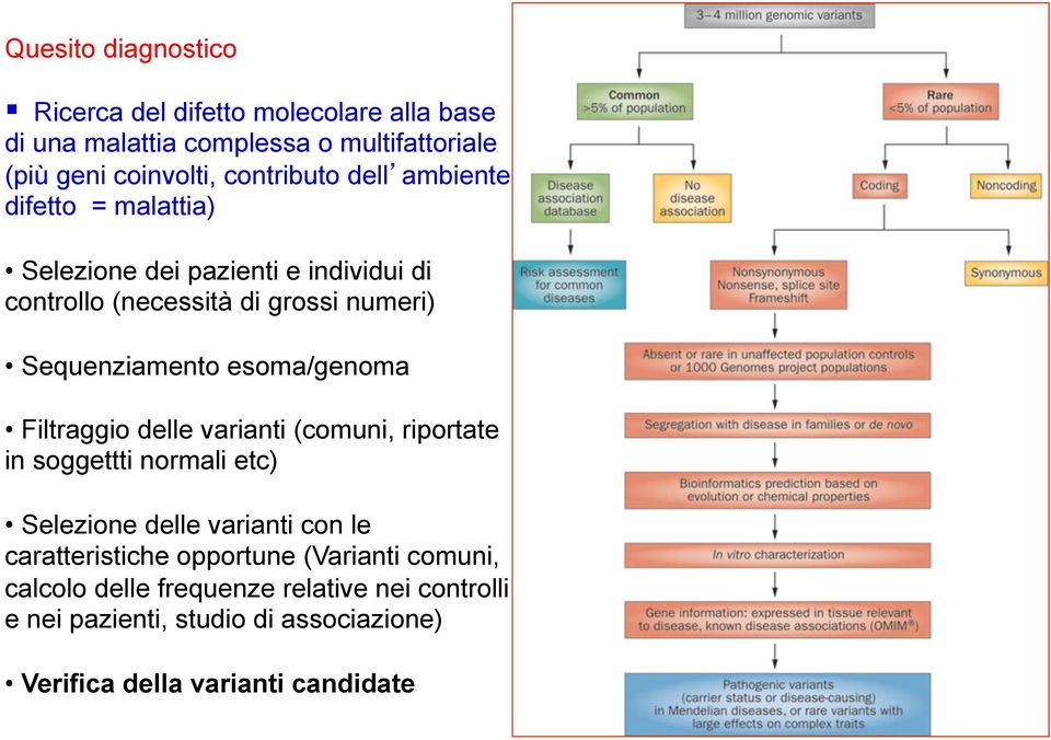 Sequenziamento esoma/genoma Filtraggio delle varianti (comuni, riportate in soggettti normali etc) Selezione delle varianti con le