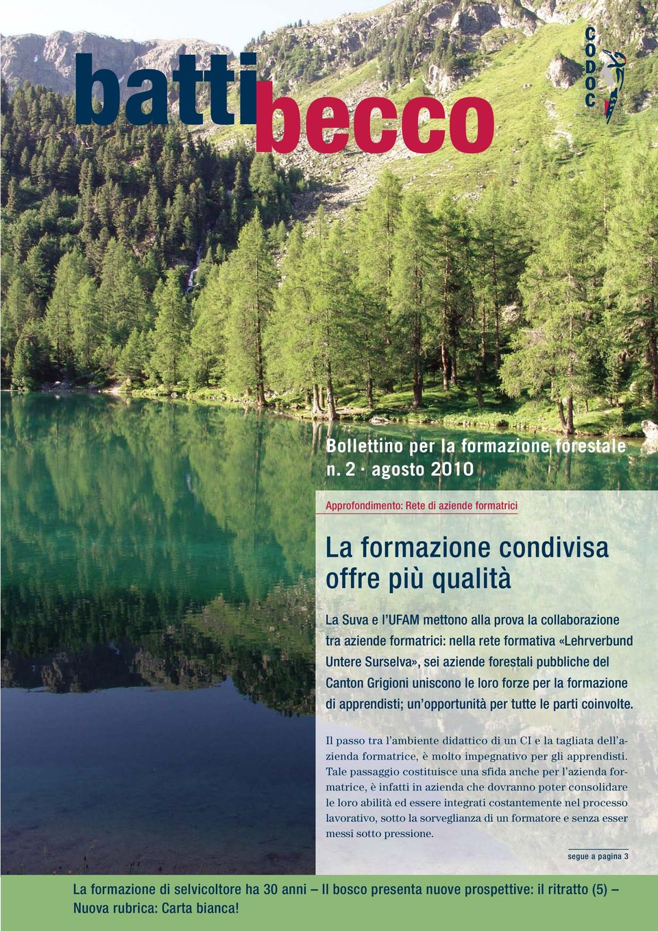 «Lehrverbund Untere Surselva», sei aziende forestali pubbliche del Canton Grigioni uniscono le loro forze per la formazione di apprendisti; un opportunità per tutte le parti coinvolte.