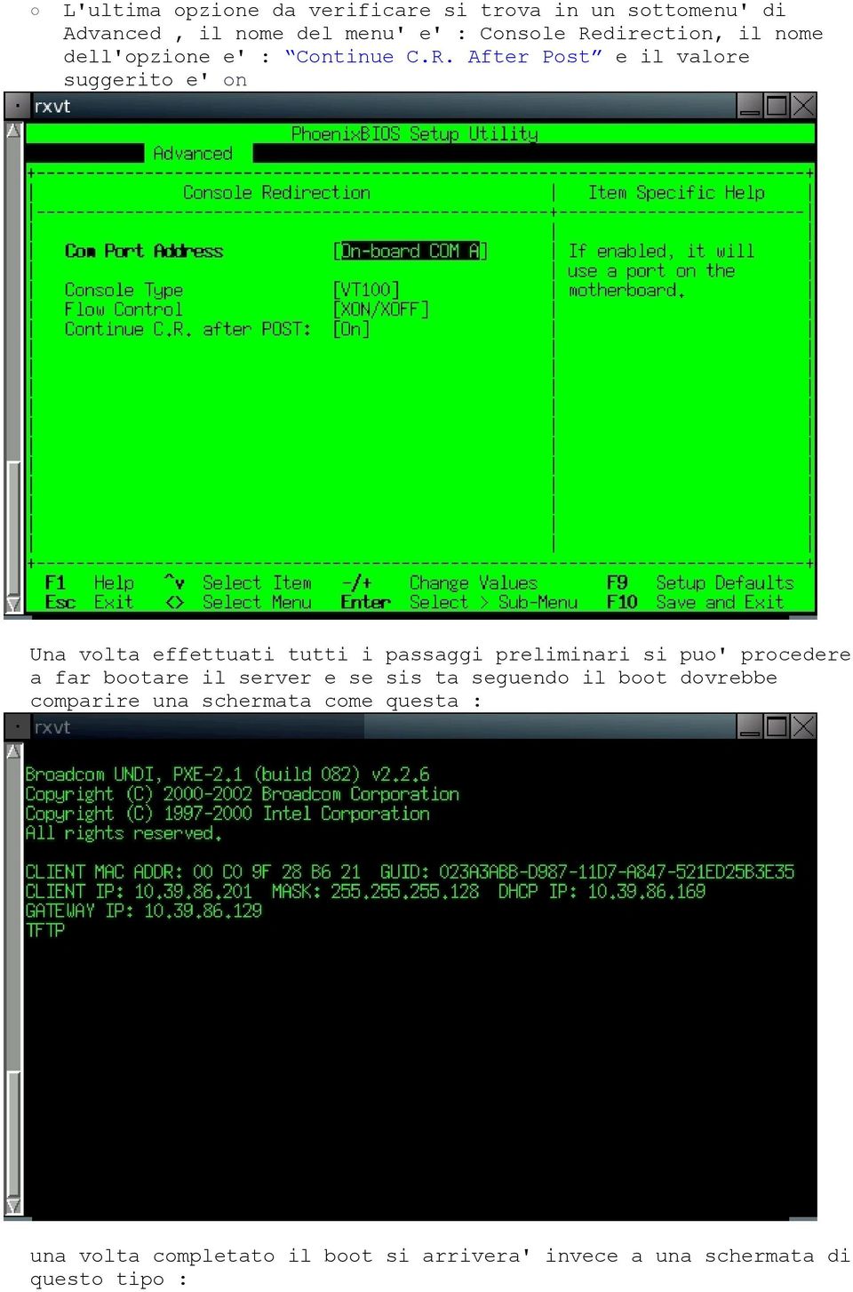 effettuati tutti i passaggi preliminari si puo' procedere a far bootare il server e se sis ta seguendo il boot