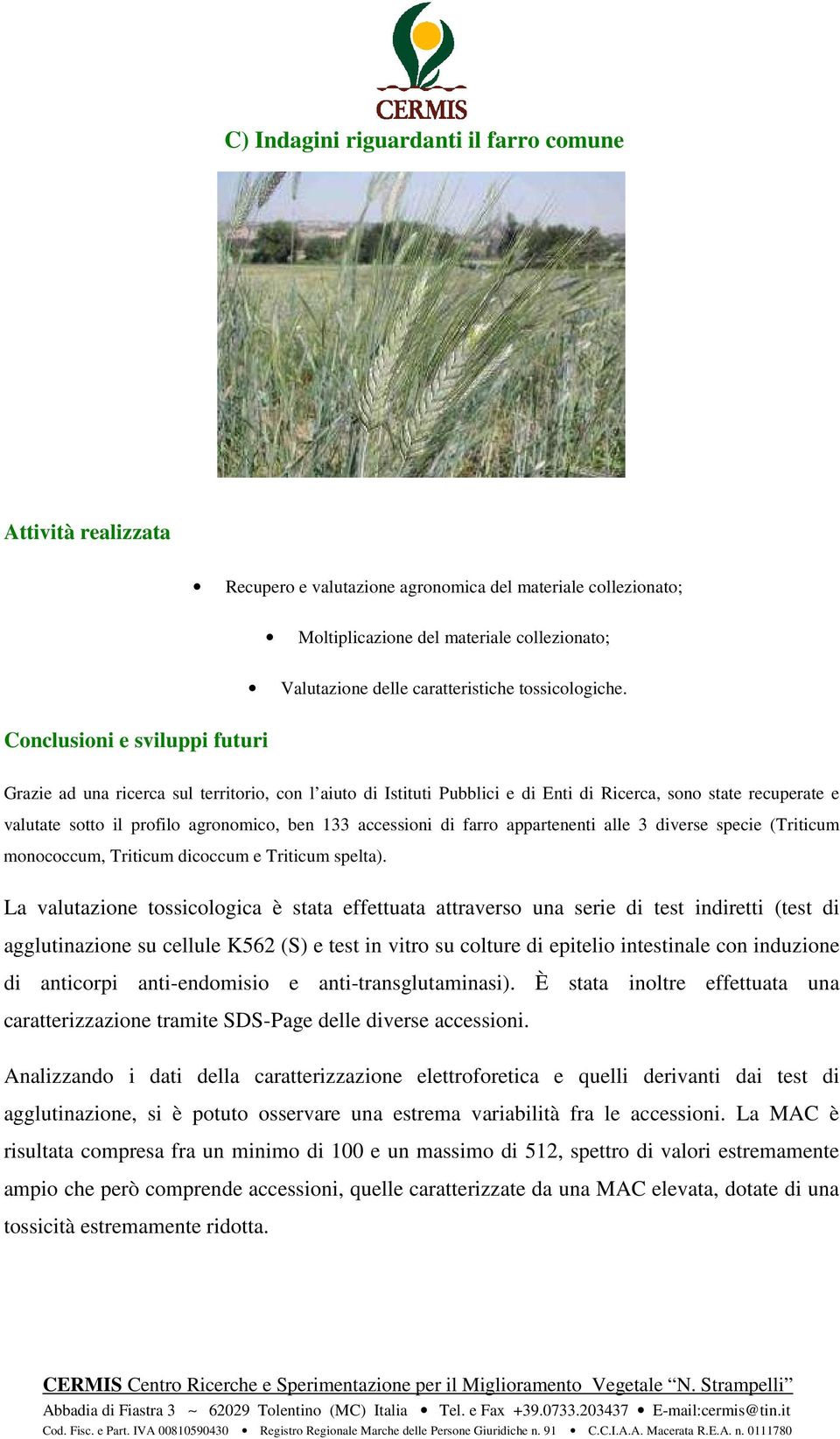 alle 3 diverse specie (Triticum monococcum, Triticum dicoccum e Triticum spelta).