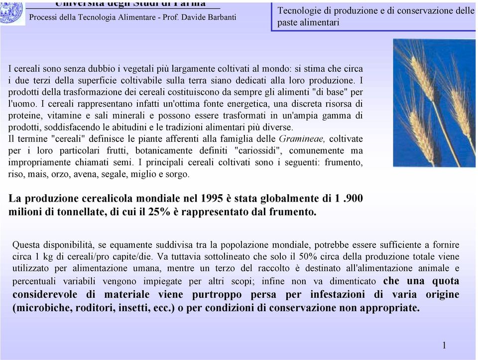 I cereali rappresentano infatti un'ottima fonte energetica, una discreta risorsa di proteine, vitamine e sali minerali e possono essere trasformati in un'ampia gamma di prodotti, soddisfacendo le