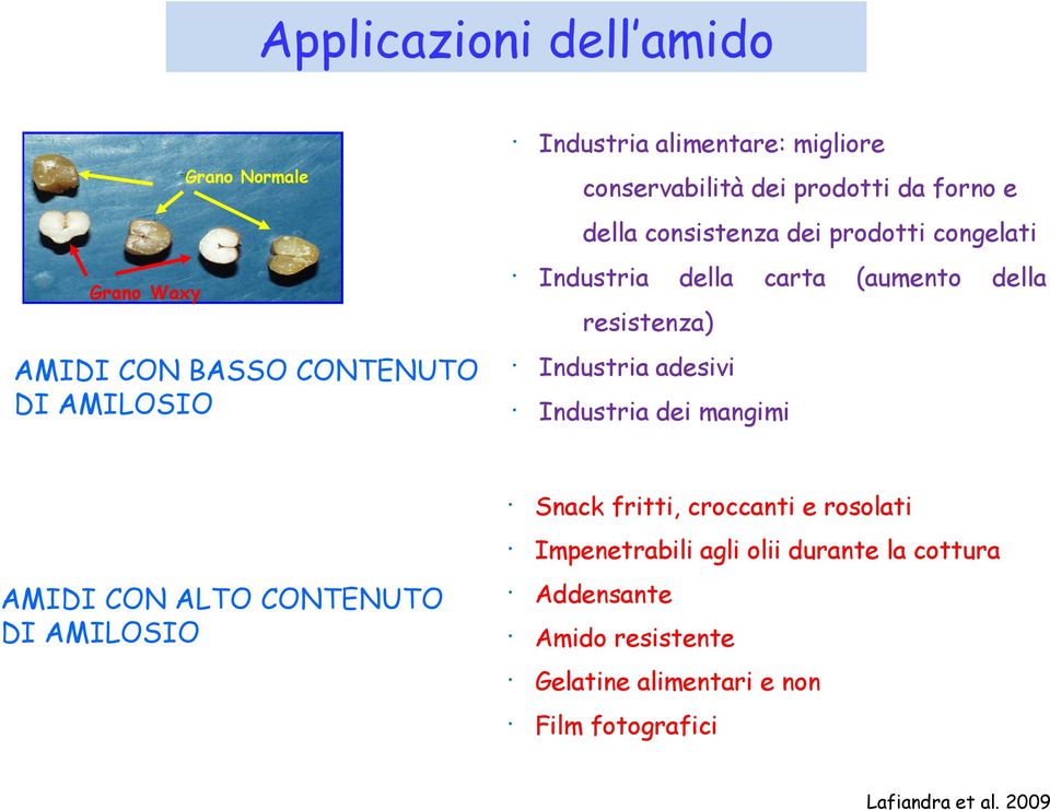 AMIDI CON ALTO CONTENUTO DI AMILOSIO Industria Industria adesivi Industria dei mangimi Snack fritti, croccanti e rosolati