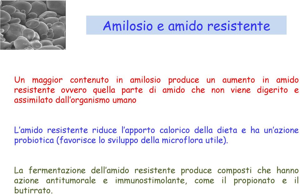 calorico della dieta e ha un azione probiotica (favorisce lo sviluppo della microflora utile).