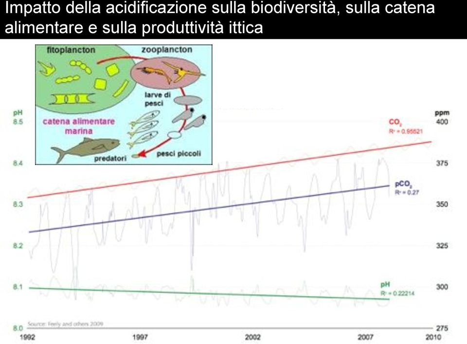 biodiversità, sulla