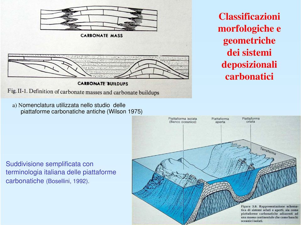 delle piattaforme carbonatiche antiche (Wilson 1975) Suddivisione