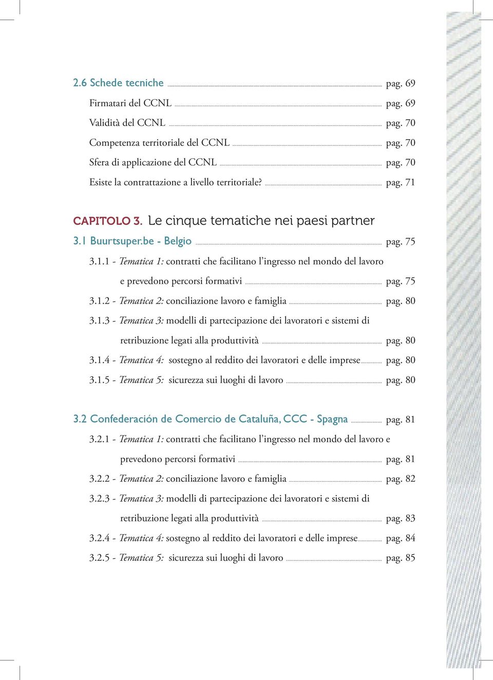 .. pag. 75 3.1.2 - Tematica 2: conciliazione lavoro e famiglia... pag. 80 3.1.3 - Tematica 3: modelli di partecipazione dei lavoratori e sistemi di retribuzione legati alla produttività... pag. 80 3.1.4 - Tematica 4: sostegno al reddito dei lavoratori e delle imprese.