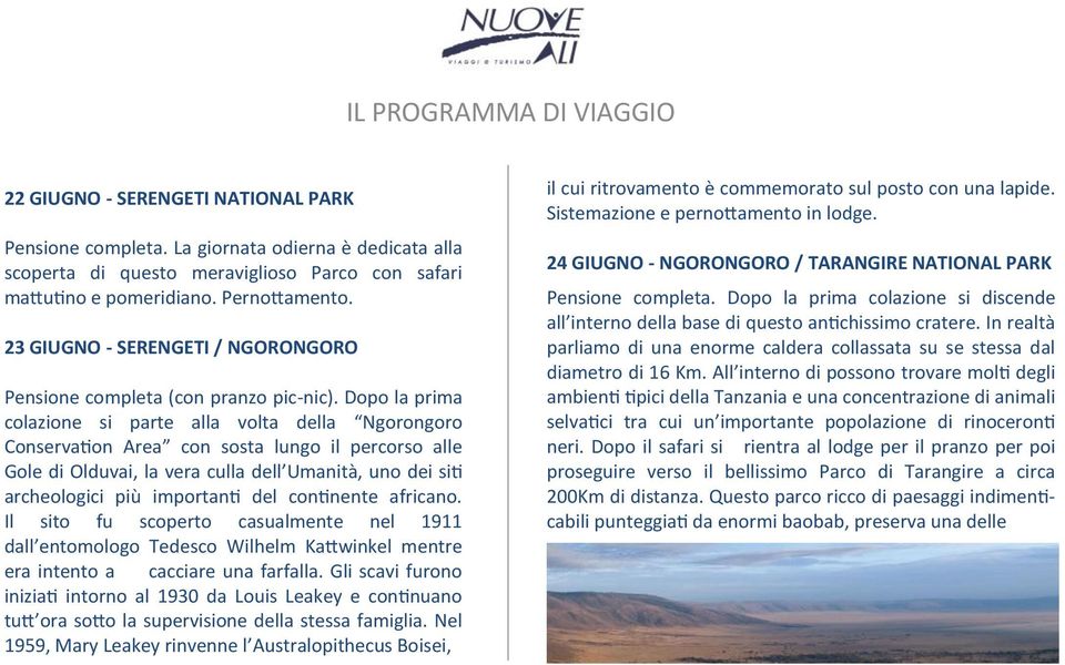 Dopo la prima colazione si parte alla volta della Ngorongoro Conservation Area con sosta lungo il percorso alle Gole di Olduvai, la vera culla dell Umanità, uno dei siti archeologici più importanti