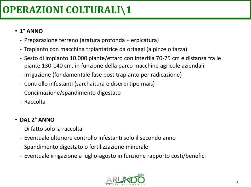 trapianto per radicazione) - Controllo infestanti (sarchaitura e diserbi tipo mais) - Concimazione/spandimento digestato - Raccolta DAL 2 ANNO - Di fatto solo la raccolta -