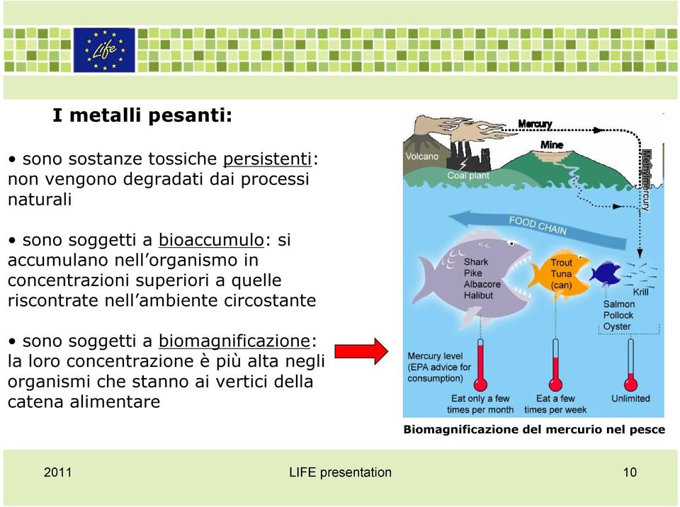 ambiente circostante sono soggetti a biomagnificazione: la loro concentrazione è più alta negli organismi