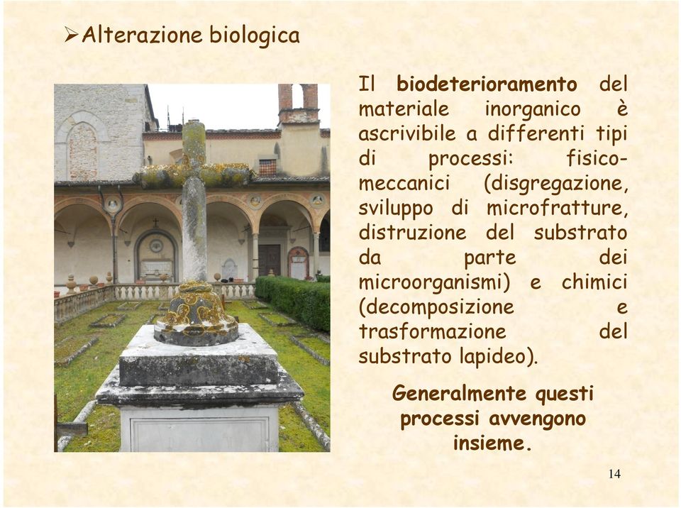 microfratture, distruzione del substrato da parte dei microorganismi) e chimici