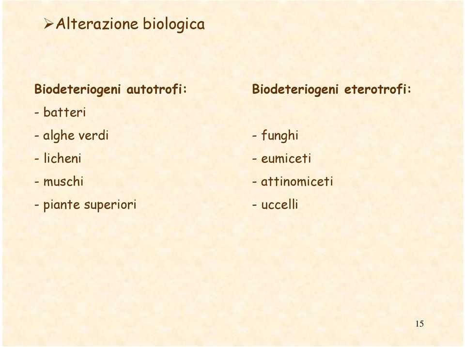 -muschi - piante superiori Biodeteriogeni