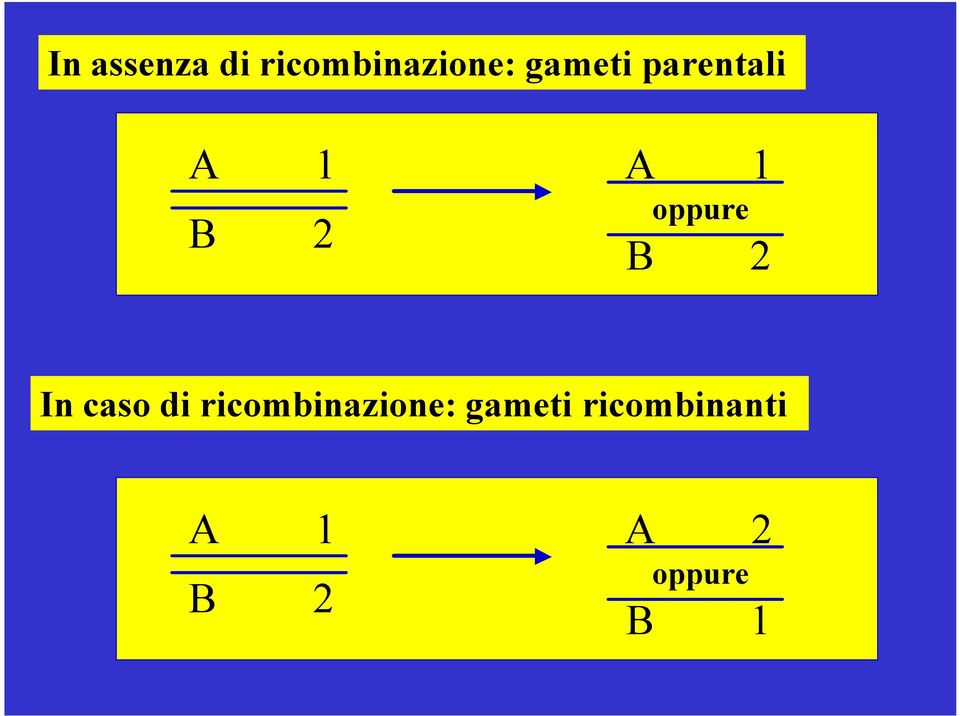 oppure B 2 In caso di