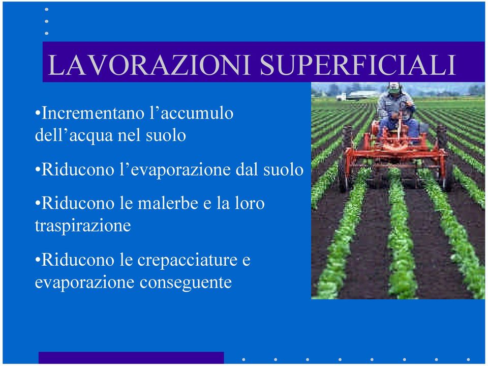 suolo Riducono le malerbe e la loro traspirazione