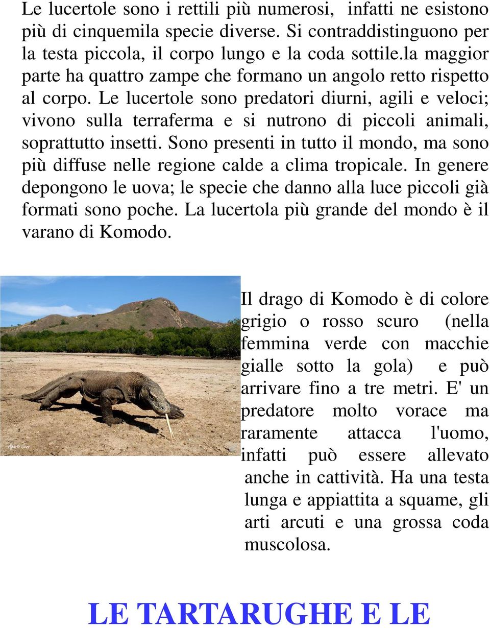 Le lucertole sono predatori diurni, agili e veloci; vivono sulla terraferma e si nutrono di piccoli animali, soprattutto insetti.