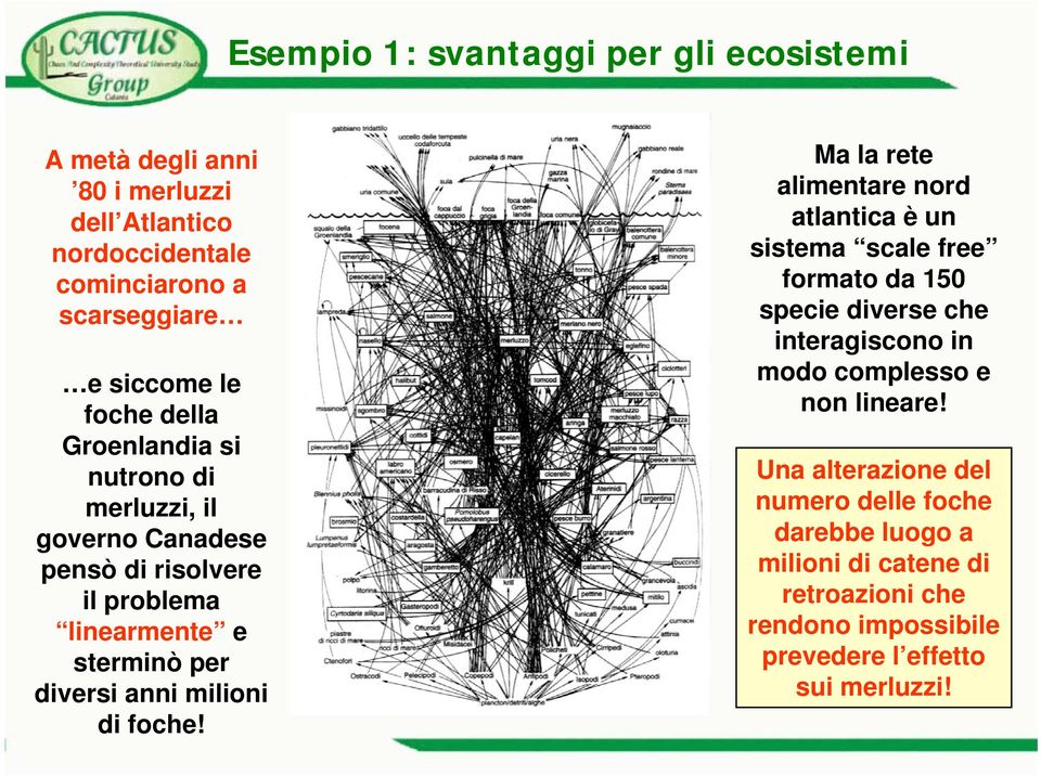 foche Le foche mangiano i merluzzi merluzzi Soluzione LINEARE: eliminiamo le foche!