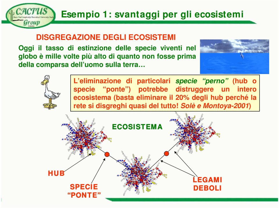 eliminazione di particolari specie perno (hub o specie ponte ) potrebbe distruggere un intero ecosistema (basta