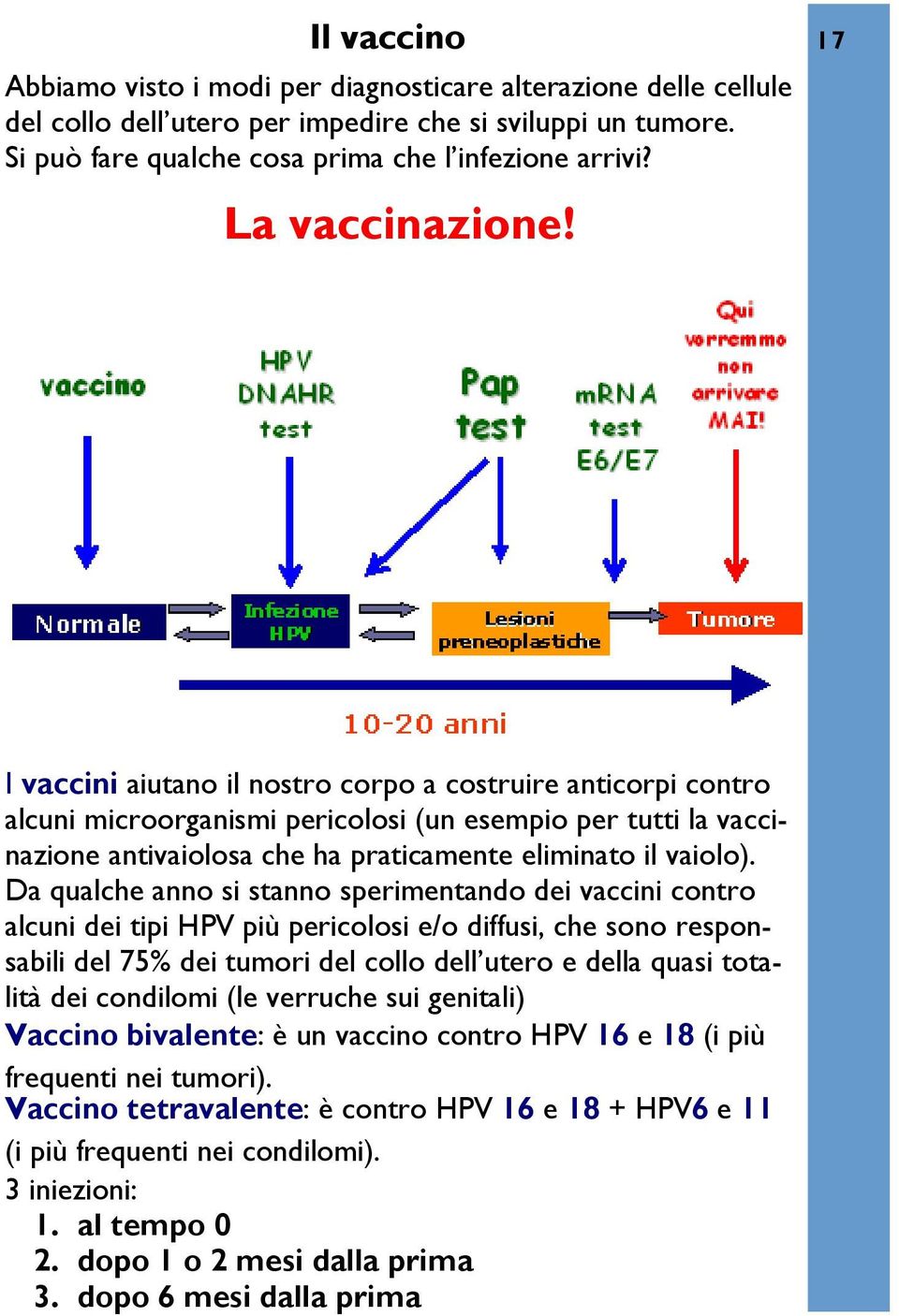 17 I vaccini aiutano il nostro corpo a costruire anticorpi contro alcuni microorganismi pericolosi (un esempio per tutti la vaccinazione antivaiolosa che ha praticamente eliminato il vaiolo).