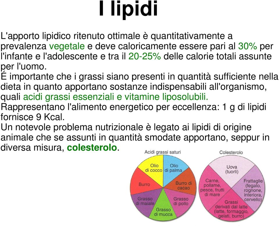 É importante che i grassi siano presenti in quantità sufficiente nella dieta in quanto apportano sostanze indispensabili all'organismo, quali acidi grassi