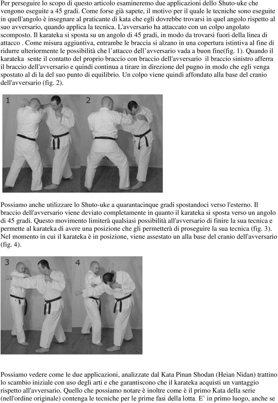 applica la tecnica. L'avversario ha attaccato con un colpo angolato scomposto. Il karateka si sposta su un angolo di 45 gradi, in modo da trovarsi fuori della linea di attacco.