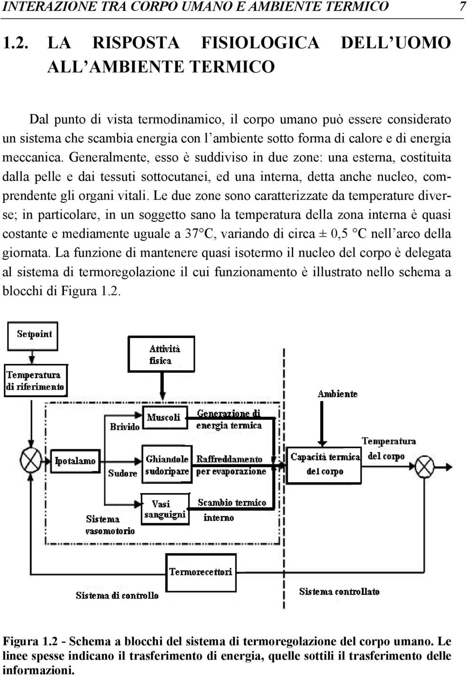 energia meccanica. Generalmente, esso è suddiviso in due zone: una esterna, costituita dalla pelle e dai tessuti sottocutanei, ed una interna, detta anche nucleo, comprendente gli organi vitali.