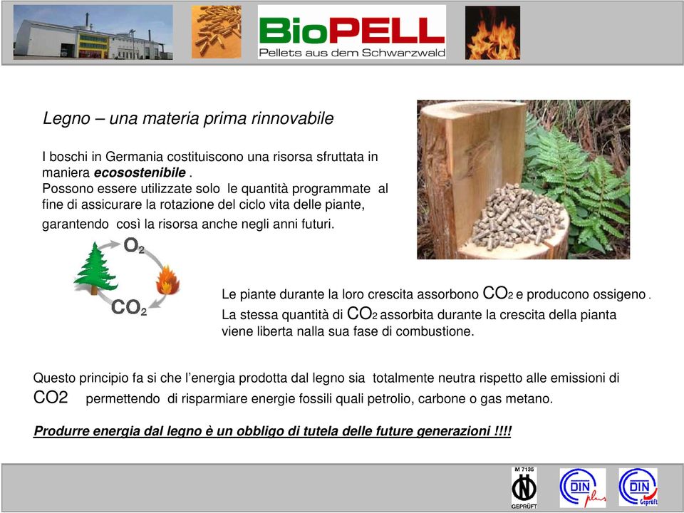 Le piante durante la loro crescita assorbono CO2 e producono ossigeno. La stessa quantità di CO2 assorbita durante la crescita della pianta viene liberta nalla sua fase di combustione.