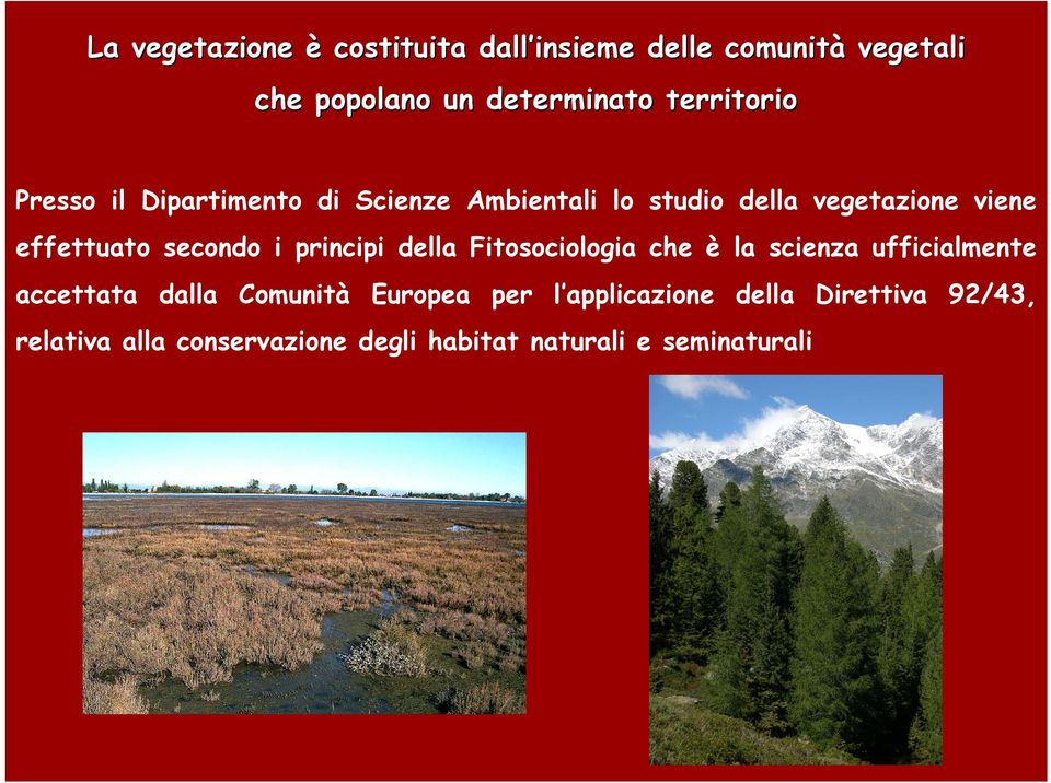 secondo i principi della Fitosociologia che è la scienza ufficialmente accettata dalla Comunità