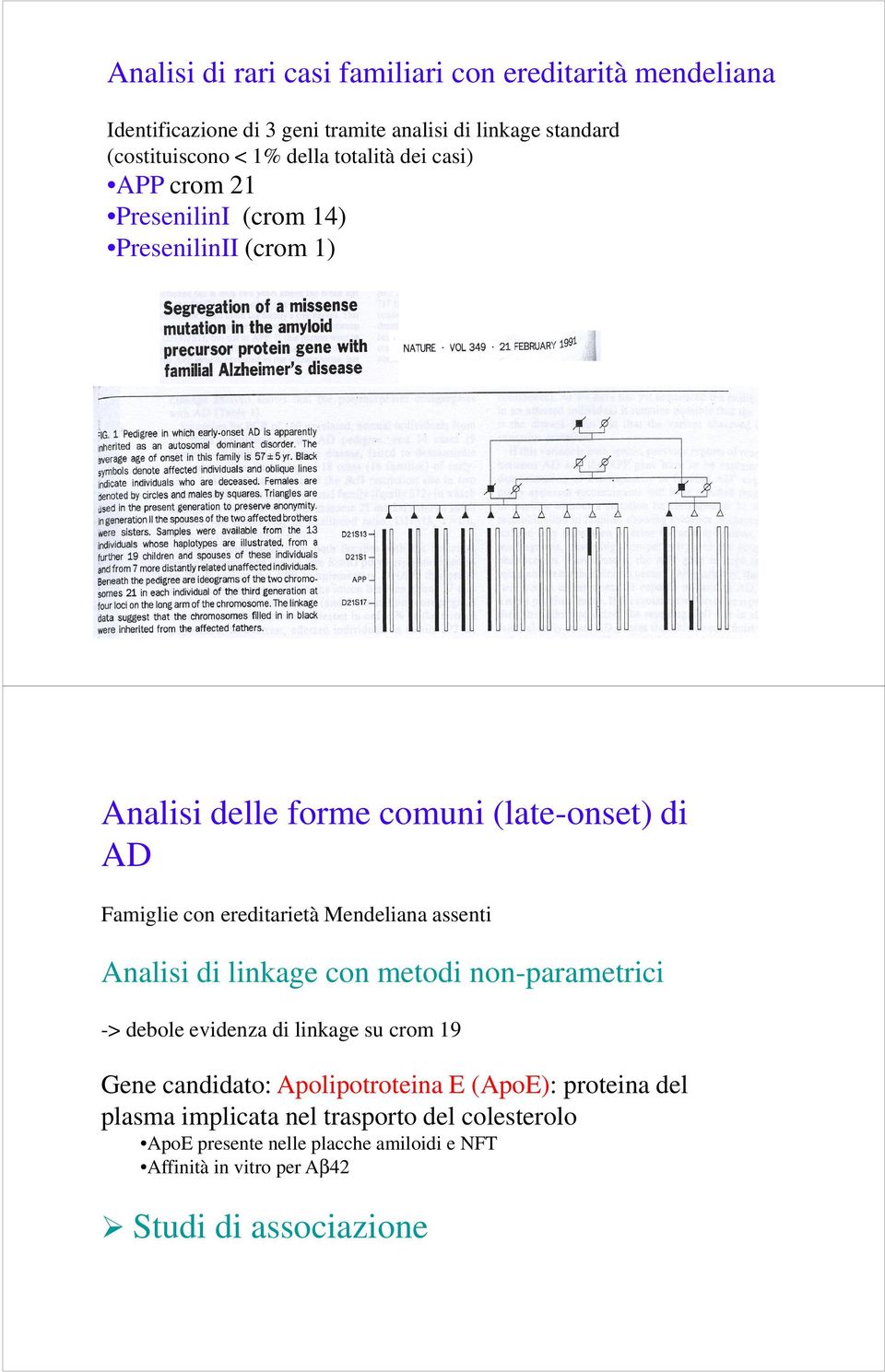 ereditrietà Mendelin ssenti Anlisi di linkge con metodi non-prmetrici -> deole evidenz di linkge su crom 19 Gene cndidto: Apolipotrotein